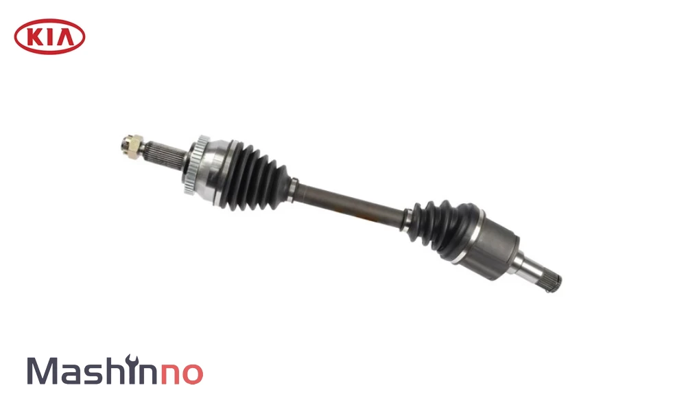 پلوس کامل چپ کیا اپیروس