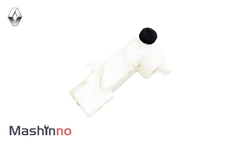 منبع انبساط رنو کولیوس