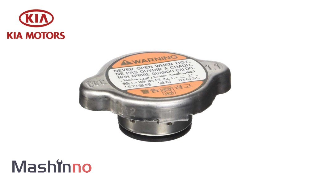 درب رادیاتور ریو