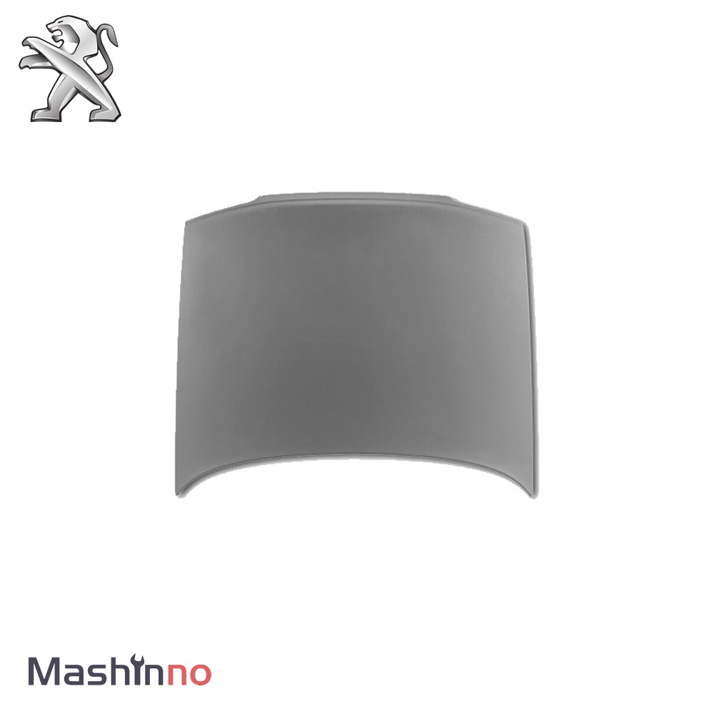 درب موتور پژو RD