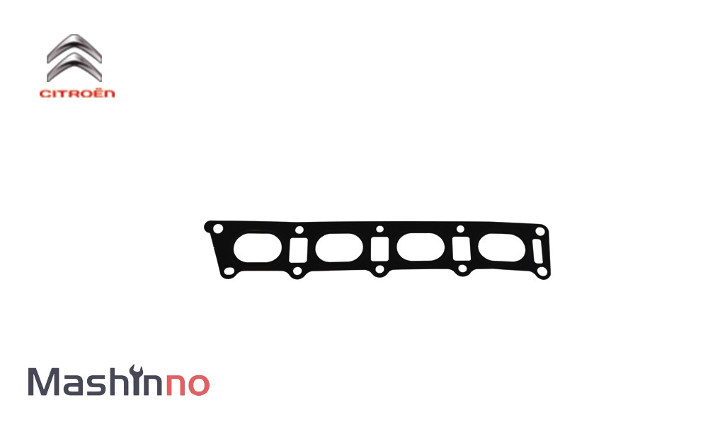 واشر منیفولد دود زانتیا