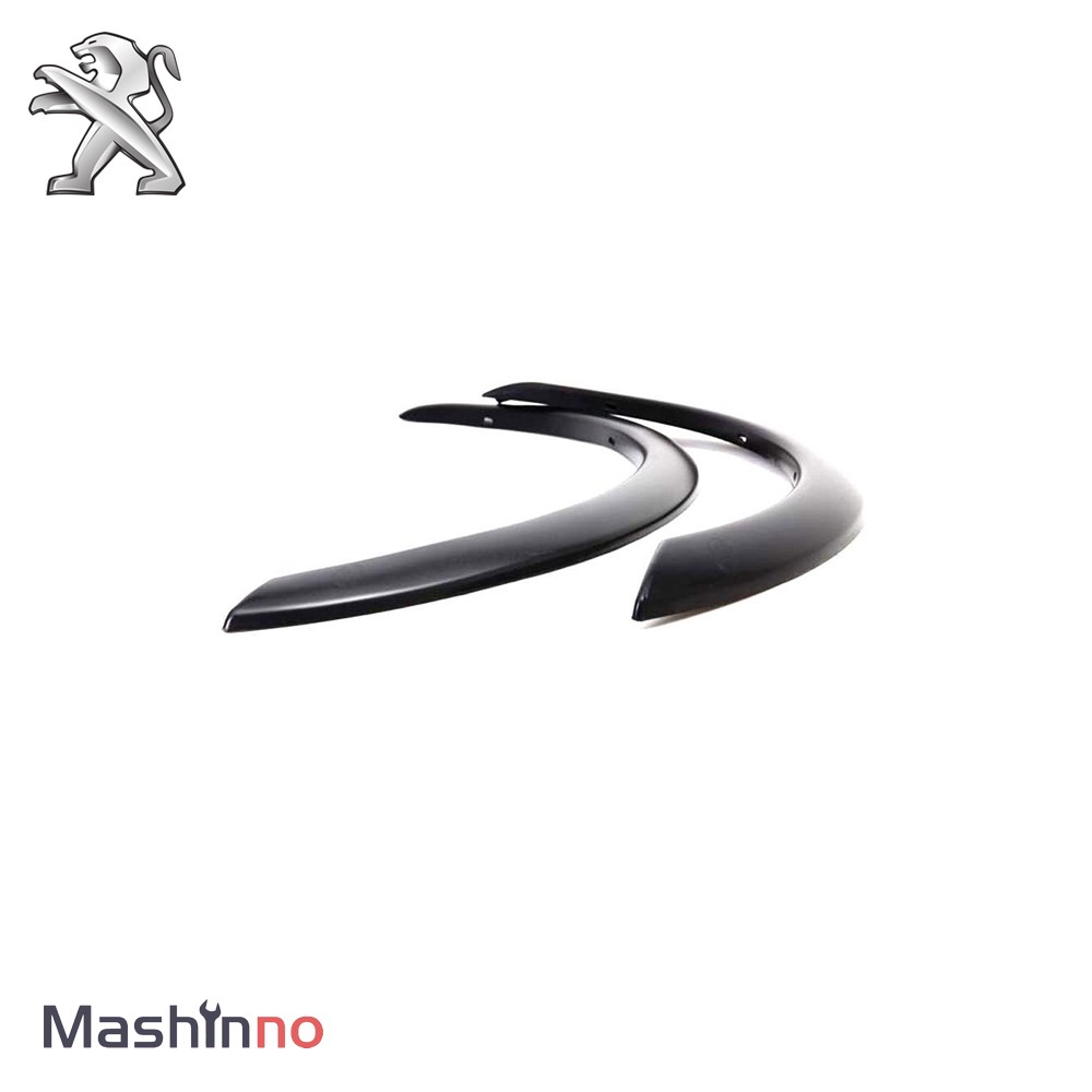 زه دور گلگیر پژو RD